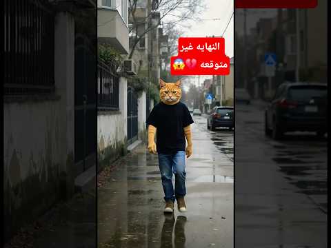 القط مياو فقد كل حاجة فجأة بس النهاية قلبت كل التوقعات     مياو 