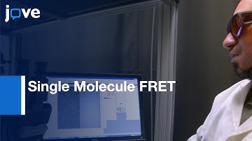 Single Molecule FRET to Identify Holliday Junction Resolution by GEN1 | Protocol Preview