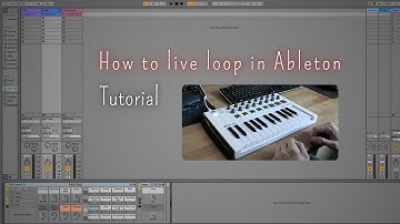 How to Live Loop in Ableton | Looping Tutorial | Arturia MiniLab Keyboard