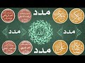 صياد يا صيادي الاقطاب الاربعة الصوفية البدوي و الرفاعي و الدسوقي و الجيلاني