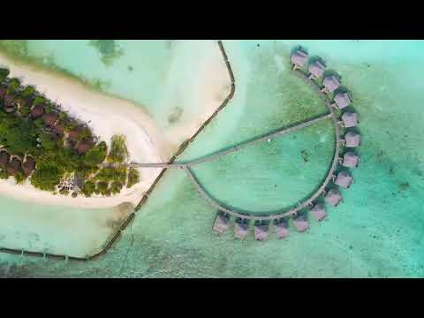 Mega Hits 2022 The Best Of Vocal Deep House Music Mix Summer Vol 142