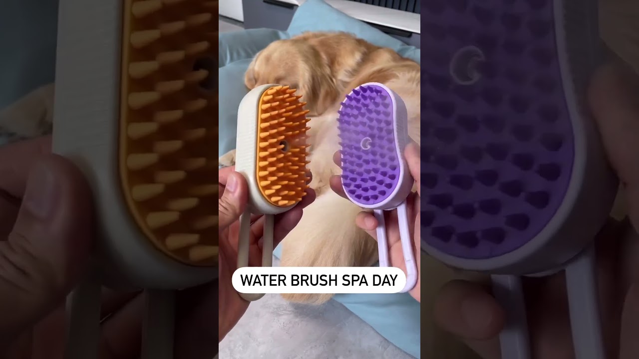 3-in-1 Steamy Pet Grooming Brush for Cats and Dogs – Hair Removal, Cleaning, and Massage. #cat #dog