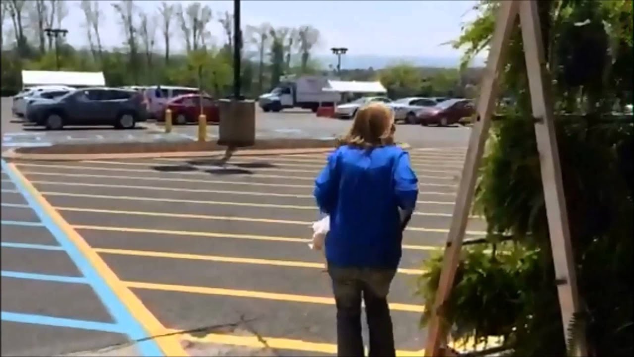 Plastic Bag The Movie 7th Annual (2014) Recycling FilmFest Runnerup