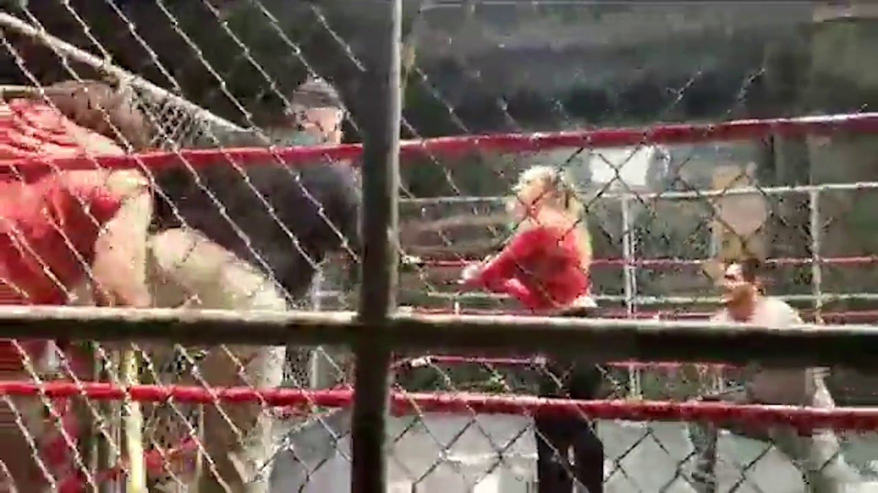 Jesse Winchester proposes to Kate Parrish after his Scramble Match