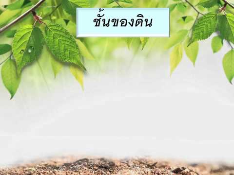 ทรัพยากรดิน(ppt)