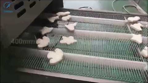 VER 400mm Automatic Chicken Nuggets Forming Machine Test