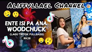 DJ ENTE ISI PA ANA, ANA ISI PA ENTE VIRAL FYP TIKTOK FULL BASS 2021🔊🎶 || (Aliffullael Channel)