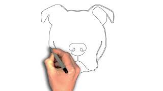 How To Draw A Pit Bull Terrier Head Step-By-Step Guide