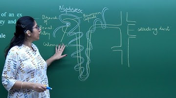 CBSE 9&10th Biology | Five Golden Questions | Exam Pattern Exercise | In English | Misostudy