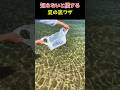 知らないと損する 夏の裏ワザ