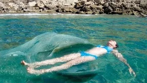 Как гигантский сом утащил Катю под воду: давно забытое происшествие