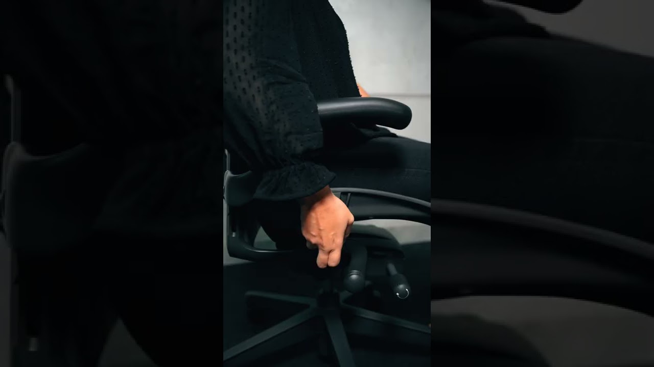 Funções - Cadeira Aeron (completa) - Herman Miller