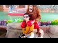 Orangutan and Girls Become Best Friend | Cute Animals at the Zoo
