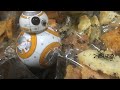 ニアルチが大晦日にBB-8ラジコンでスターウォーズごっこをする