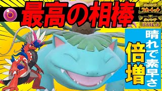 【激熱試合】コライドン＆フシギバナの最高のマリアージュ見せます！！！【ポケモンSV】