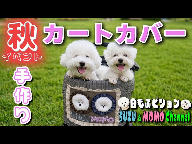 超簡単•犬服作り方】 ZARAワンピースを犬服にリメイク💗【犬用型紙•DIY