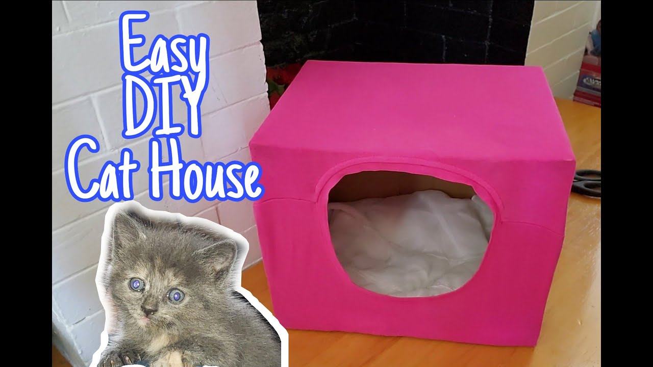 Easy DIY Cat House  cardboard  old t shirt