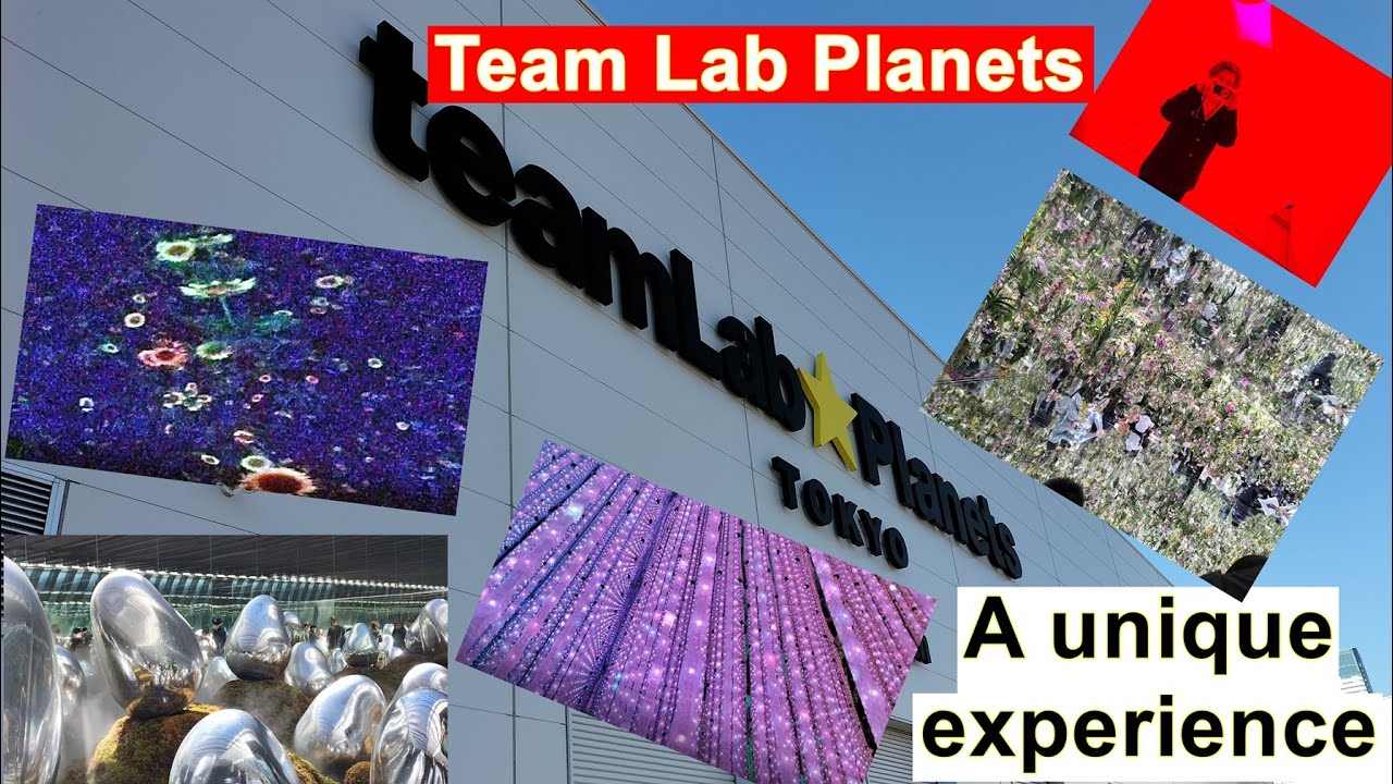Team Lab Planets, Tokyo – a truly unique and immersive experience - YouTube