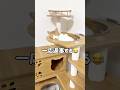 眠すぎる時の猫のお見送りが適当すぎたw#shorts