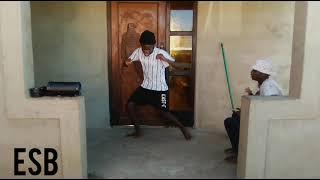 Babes Wodumo- Zisho [  dance video ]