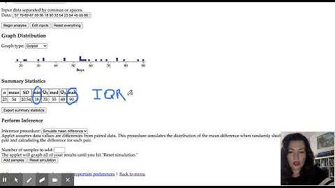 Using.Stapplet. To .Calculate.Descriptive.Statistics