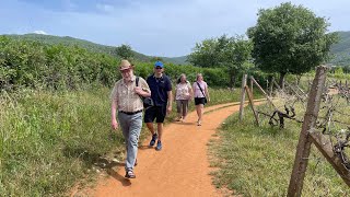 Special Monday Tour in Medjugorje