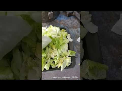 Sebze Ve Kivircik Kurutucu