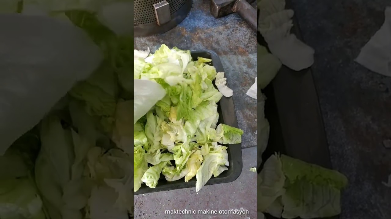 Salata Kurutucu Nasıl Kullanılır Salata Kurutucu Nasıl Kullanılır