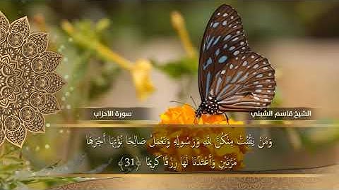 سورة الاحزاب - قاسم الشبلي