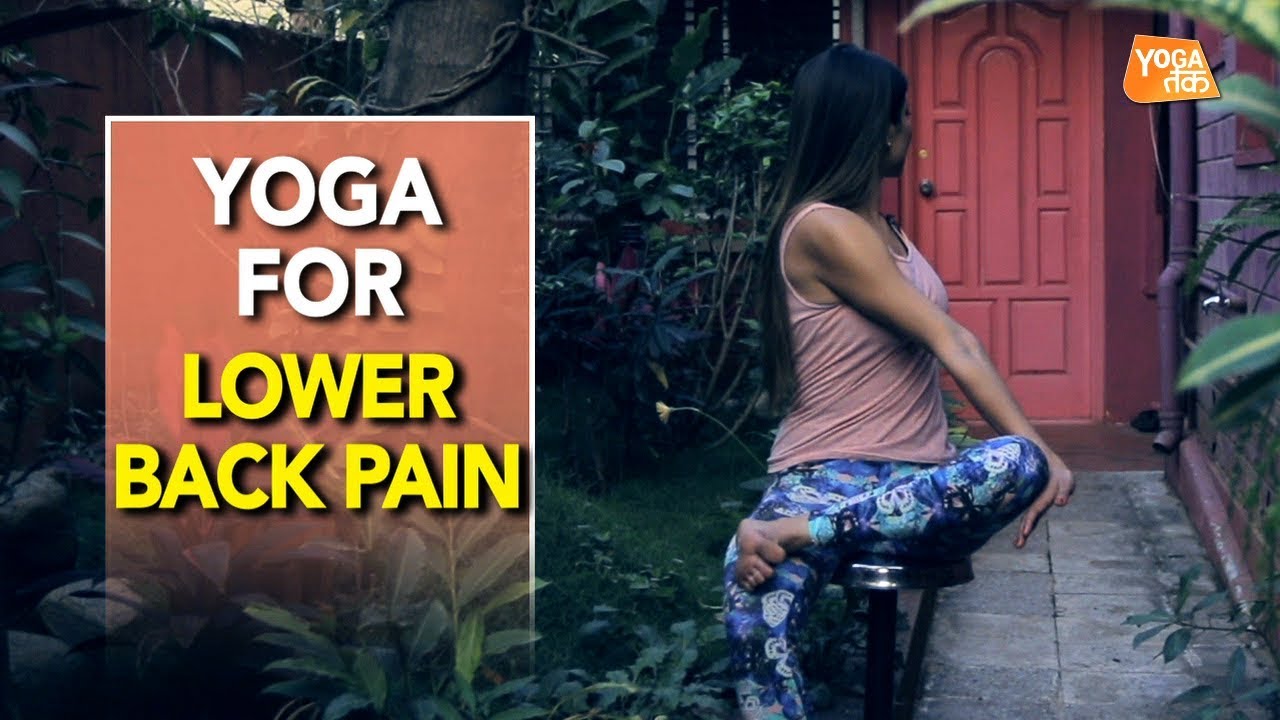 Office Yoga | Yoga For Lower Back Problem | Yoga Tak fitness videos online