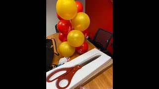 25 Ceremony Ribbon Cutting Scissors by Allures & Illusions Amazon Review