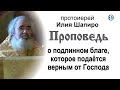 Проповедь о подлинном благе, которое подаётся верным от Господа (2020.11.11). Протоиерей Илия Шапиро