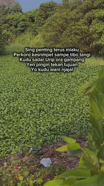 Story WA Jawa - Terus Mlaku