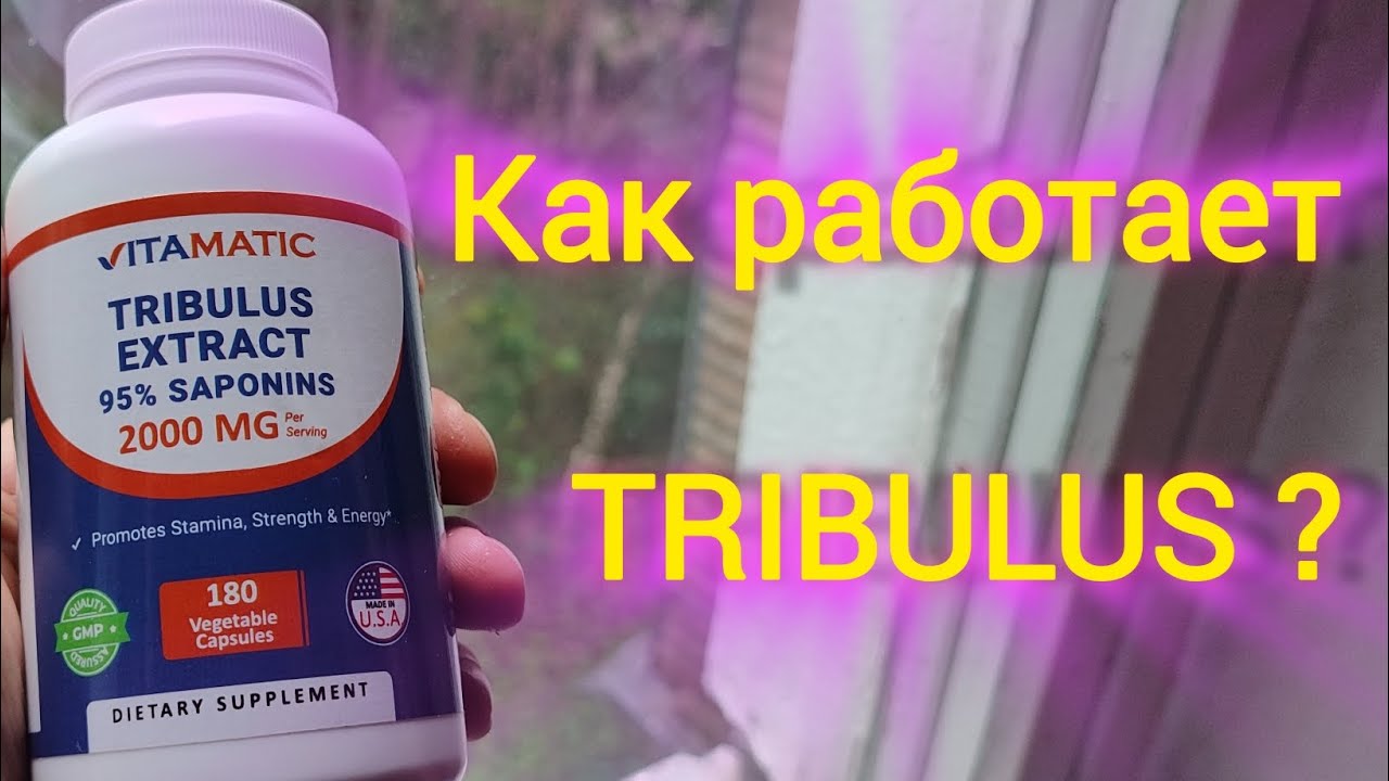 Как принимать TRIBULUS ? Зачем применять Трибулус?
