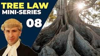 Can I Cut My Neighbors Tree Roots?  | Tree Law Miniseries | BlackBeltBarrister