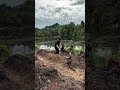 A simple day working in the lakeside garden.