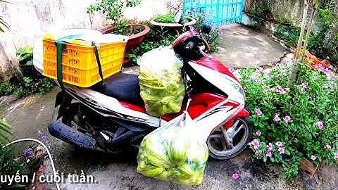 Hai chú cháu chở hộp mì xào và rau củ vào xóm nghèo cho bà con An Tức - Tri Tôn, An Giang 15/07/2023