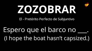I Hate Spanish Verbs - Practice - ZOZOBRAR