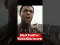 WAKANDA FOREVER                    #blackpanther #wakandaforever