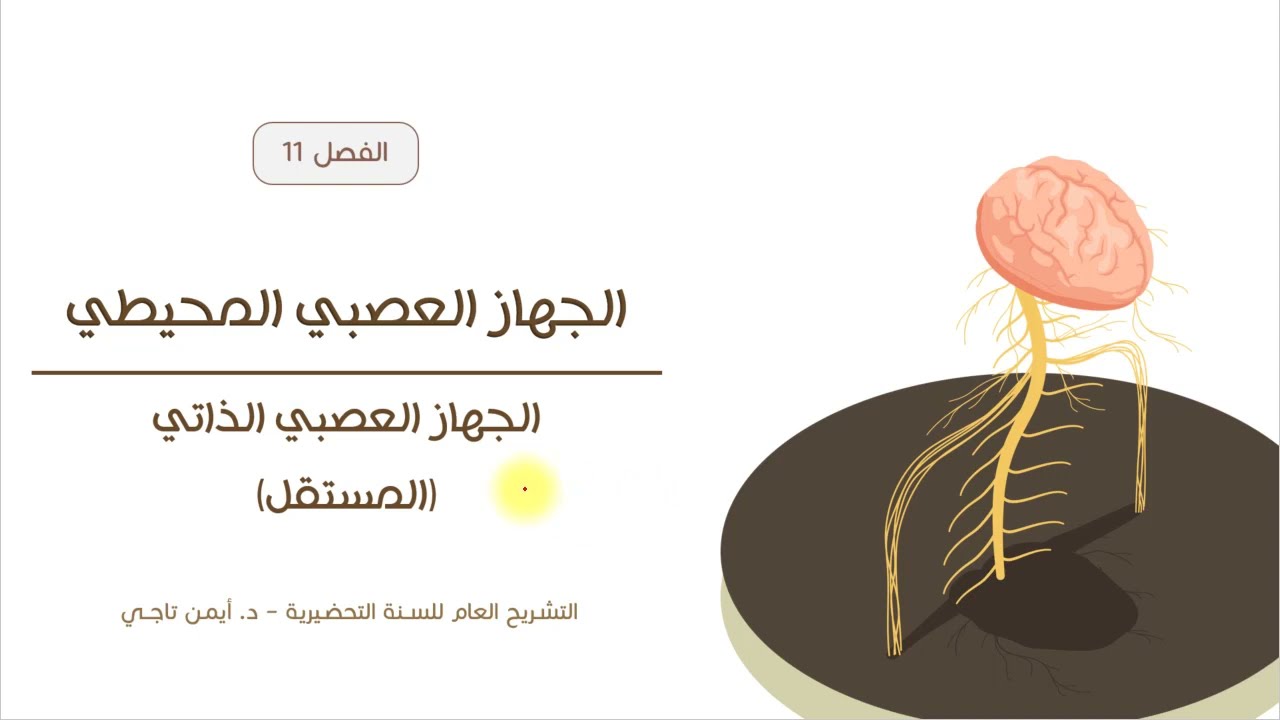 الجهاز العصبي المحيطي | الجهاز الودي ونظير الودي | التشريح العام للسنة التحضيرية