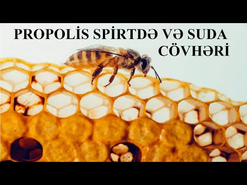 Video: Sulu Bir Propolis çözeltisi Nasıl Hazırlanır