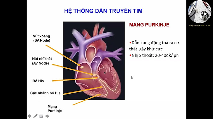 Điện tâm đồ trung bình tín hiệu signal average năm 2024