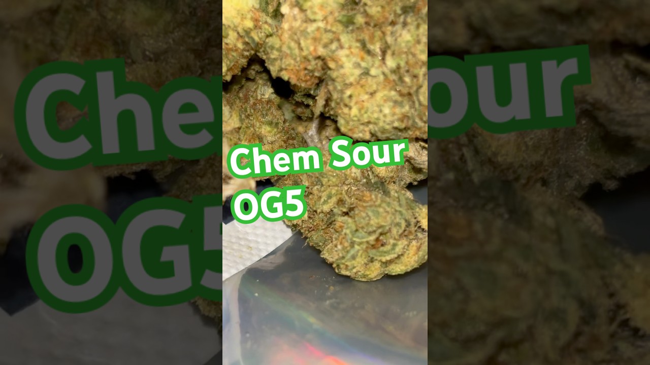 Chem Sour OG5⛽️ 💨 