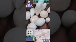 Extremely very rarest powerful Goddess Mahalakshmi or Lord SUKRAN pure white conch pearls.