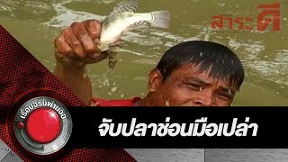 จับปลาช่อนด้วยมือเปล่า | เรื่องจริงผ่านจอ