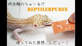 爬虫類のちゅーる⁉レプタイルピューレをレオパにあげてみた！