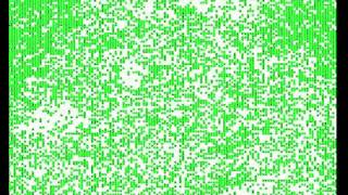 Forest Fire Simulation