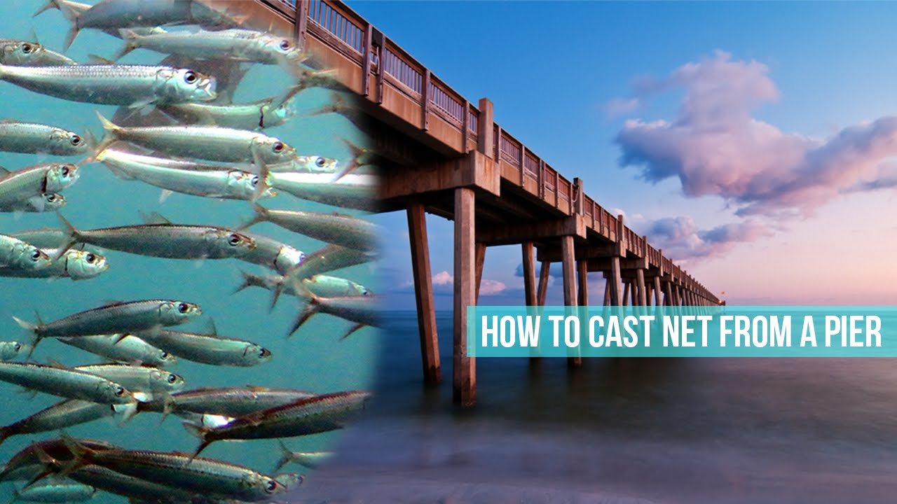 Spinning a Net from the Fishing Pier - Easy Way to Catch Bait 