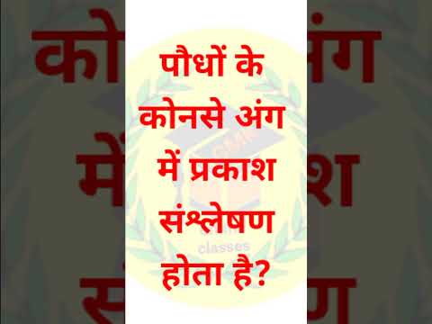 वीडियो: प्रकाश संश्लेषण किस अंग में होता है?