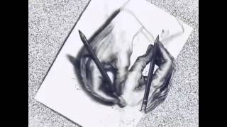 NatGeo: Escher 'Drawing Hands' Illusion